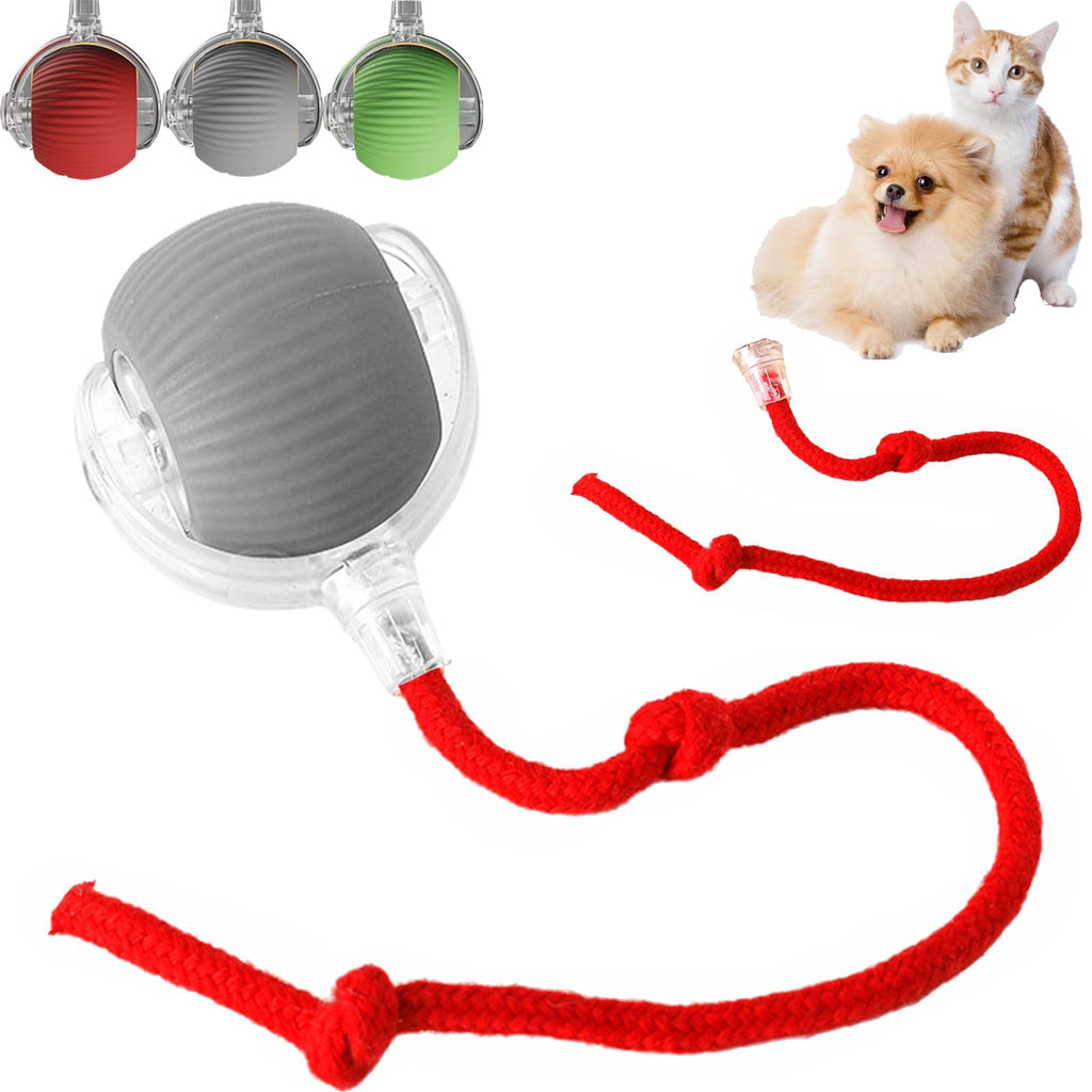 Bola Interativa Automática para Gatos e Cães