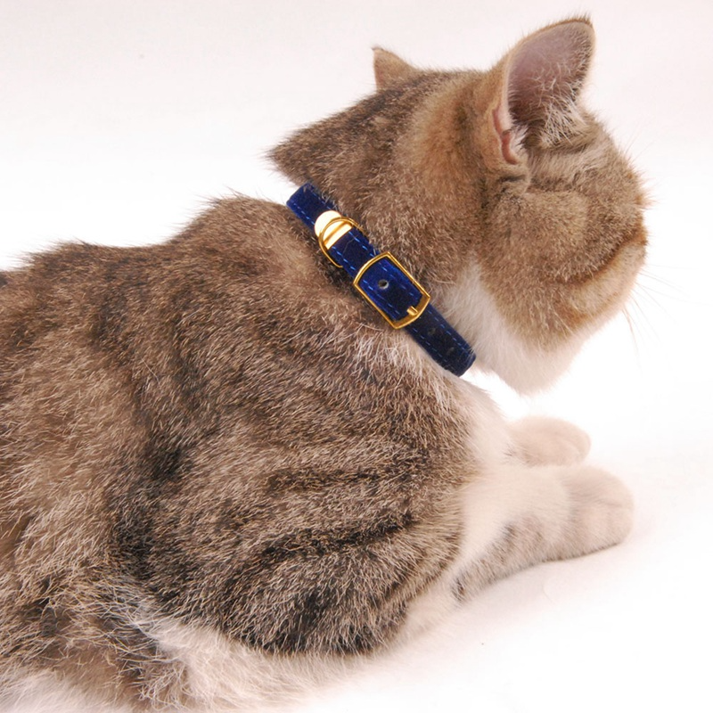 Coleira para Gatos com Fecho de Segurança